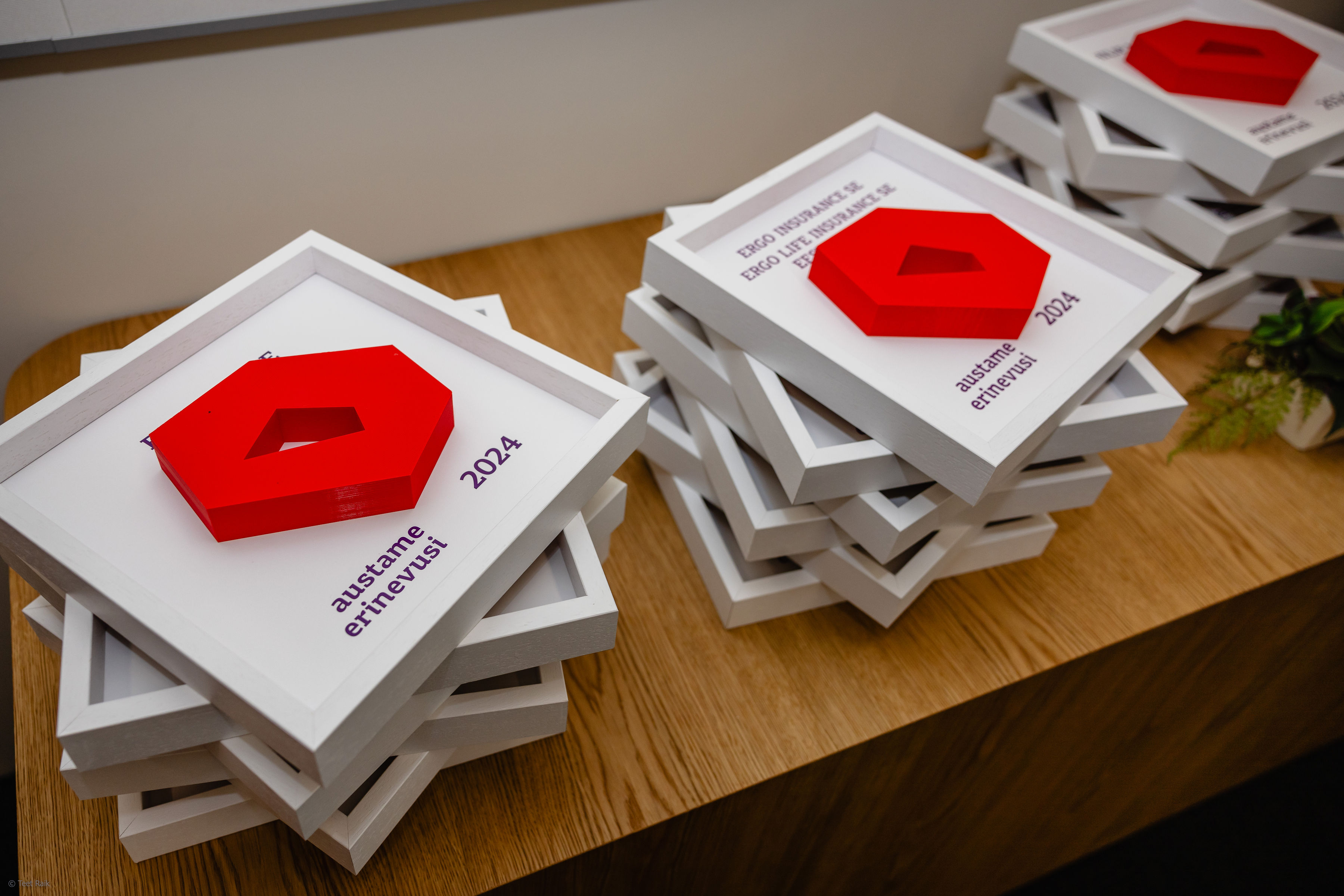 "Austere erinevusi" märgis. Foto Teet Raik 