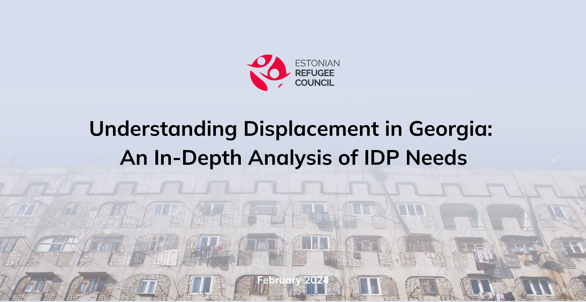 idp needs in geo
