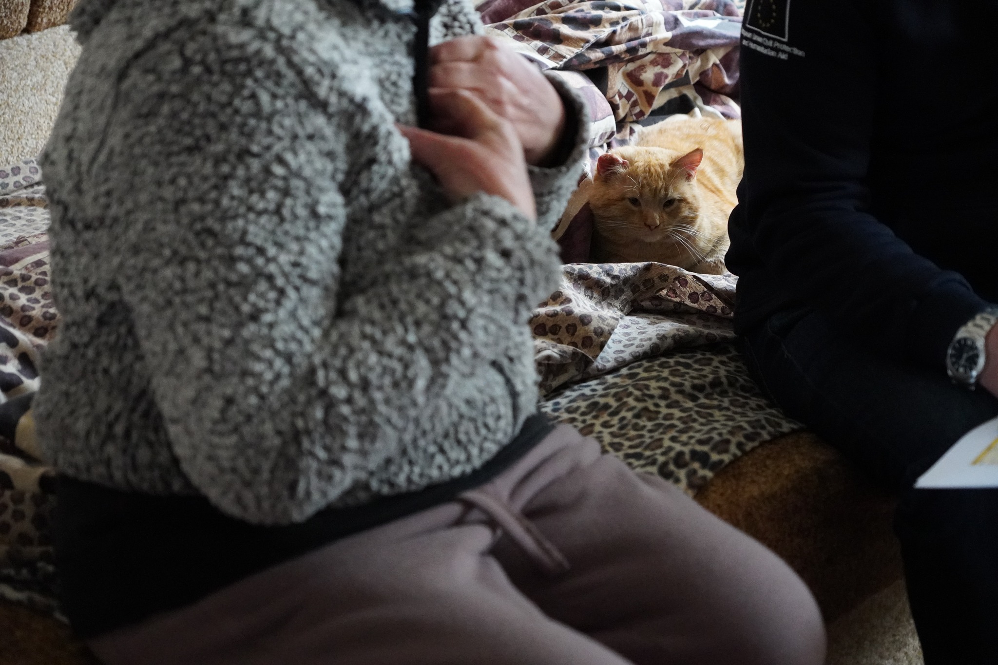 Eesti Pagulasabi Ukrainas