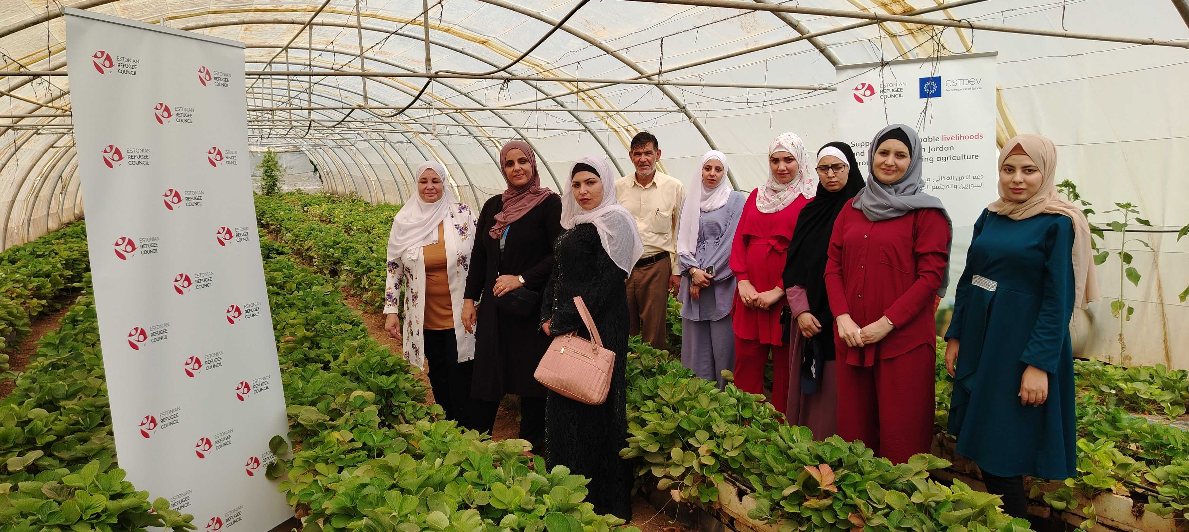 Women standing in a hydroponic greenhouse 