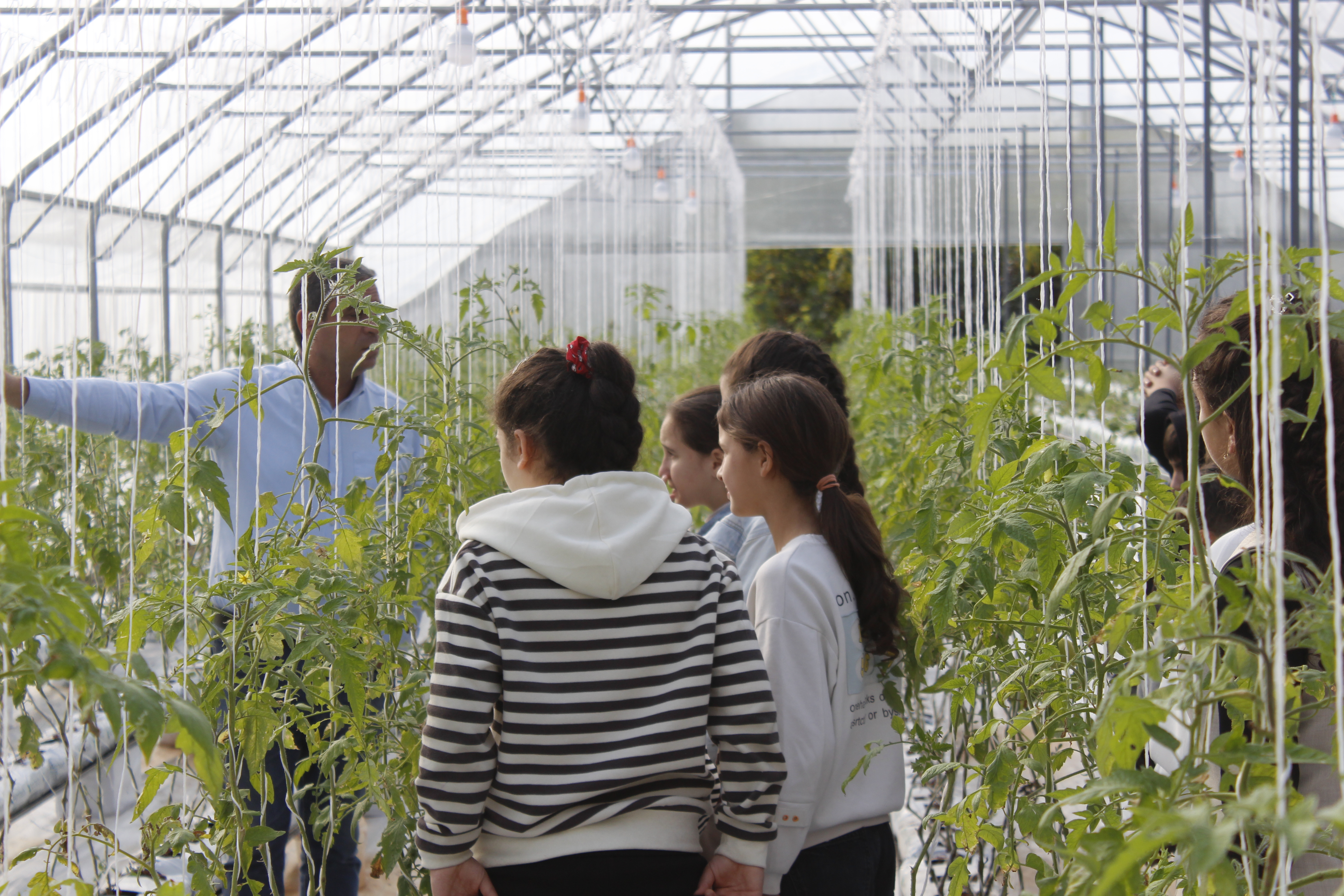 Lapsed kasvuhoones Armeenias