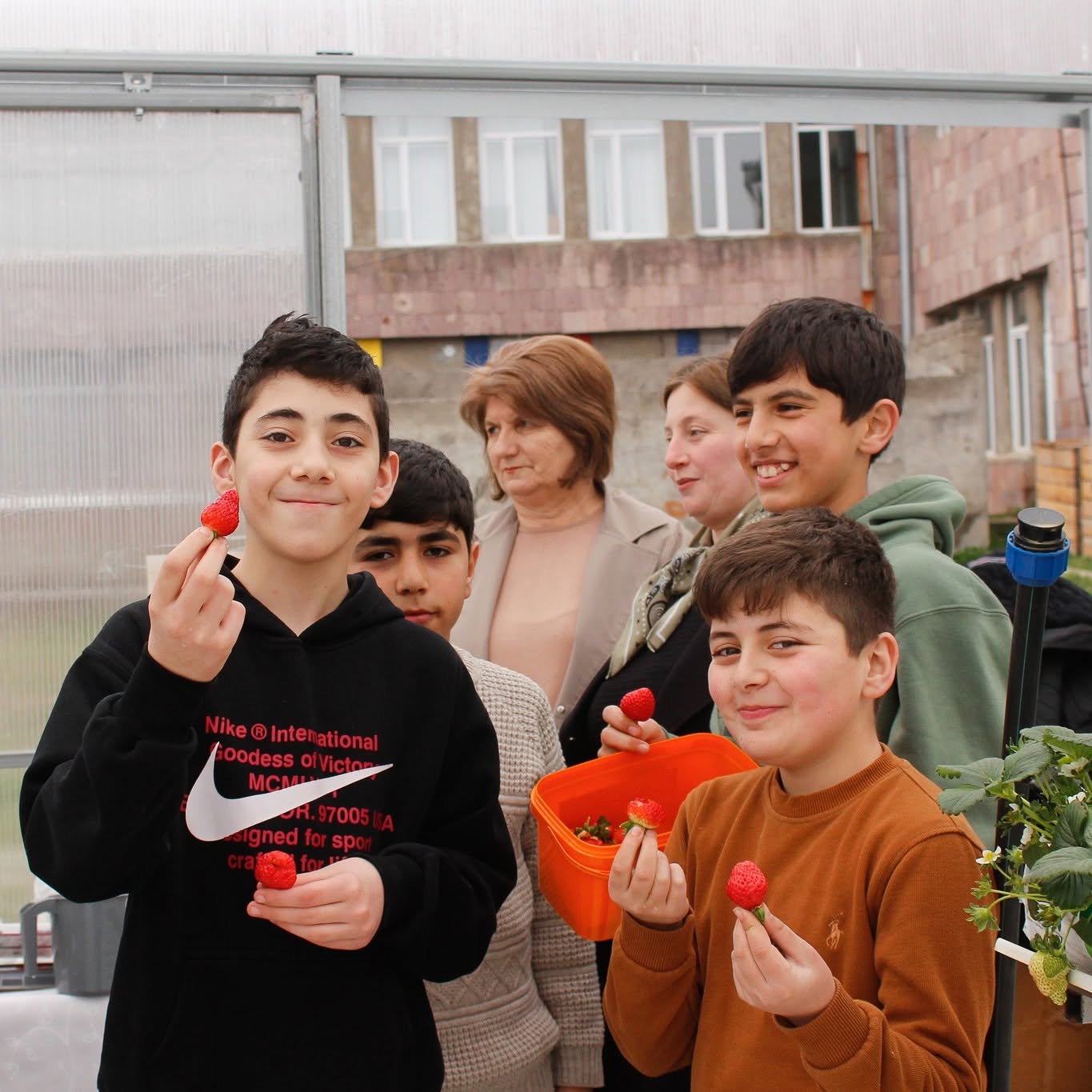Armenian strawberries