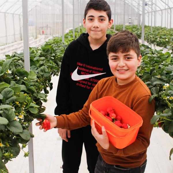 Economic recovery in Armenia