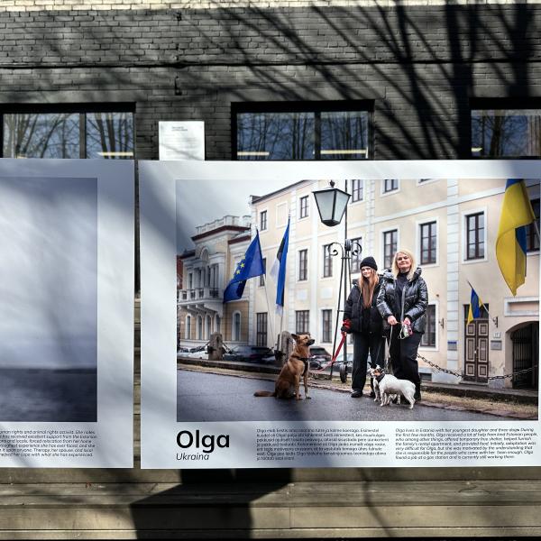 Rändnäitus liikus Pärnusse