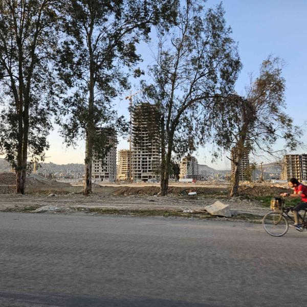 Man on a bicycle on the road in Syria, trees on the background