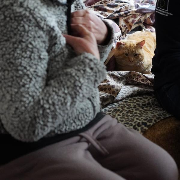 Eesti Pagulasabi Ukrainas