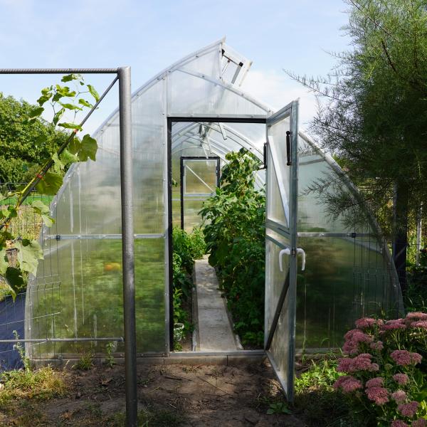 a greenhouse